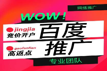 百度搜索推广案例解析：效果显著的成功案例